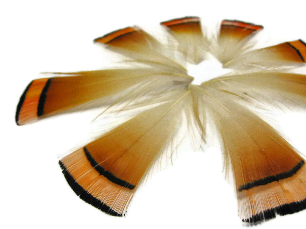 1 Dozen - Natural Orange Golden Pheasant Tippet Neck Plumage Feather