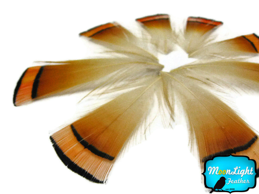 1 Dozen - Natural Orange Golden Pheasant Tippet Feather