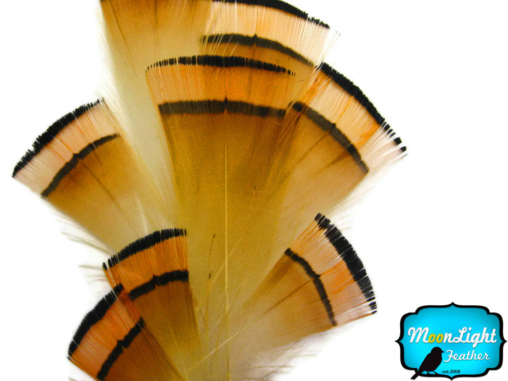 1 Dozen - Natural Orange Golden Pheasant Tippet Feather