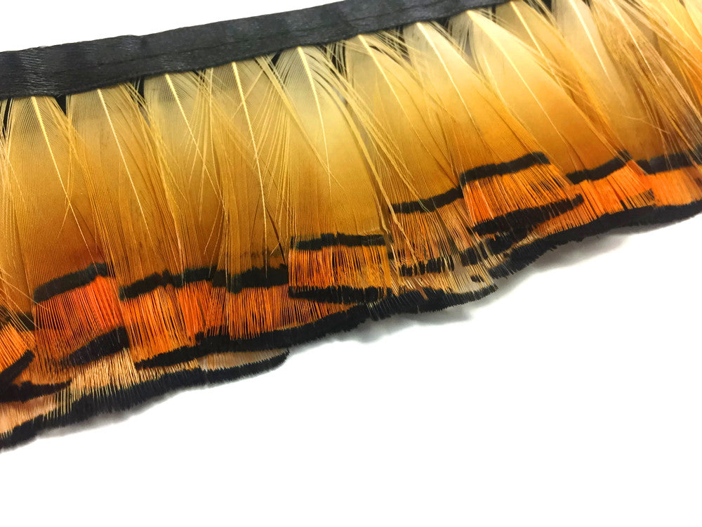 1 Yard - Natural Orange Tippet Golden Pheasant Feather Trim