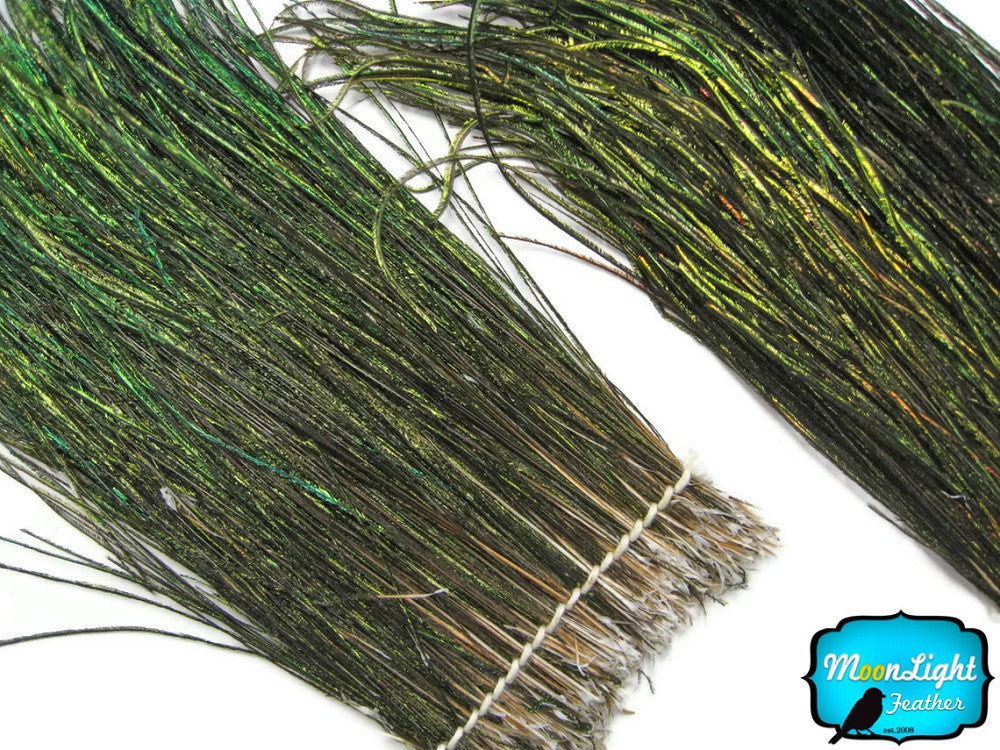 1/2 Yard - 5-7" Natural Iridescent Green Peacock Flue / Herl Strung Wholesale Feathers (Bulk)