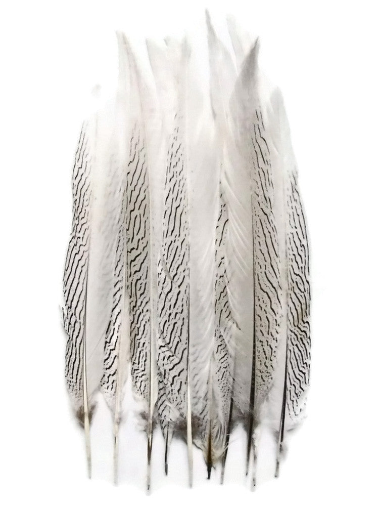 50 Pieces - 15-20" Natural Silver Pheasant Tail Wholesale Feathers (Bulk)