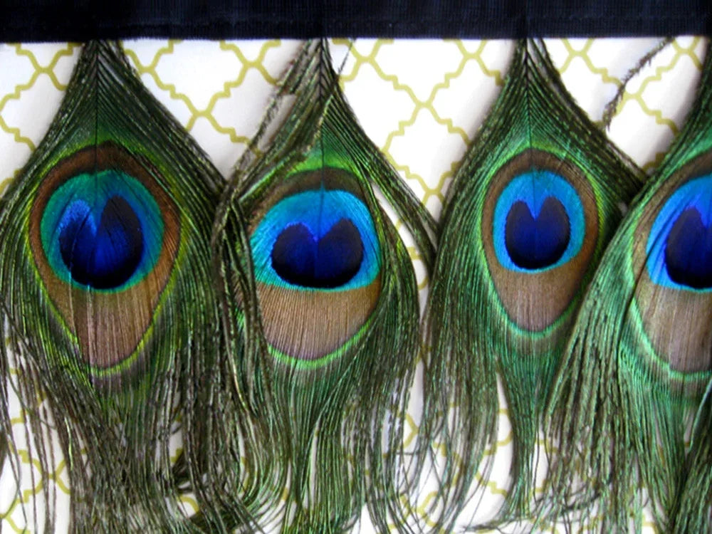 Vibrant peacock feather fringe trim for fashion and DIY crafts.
