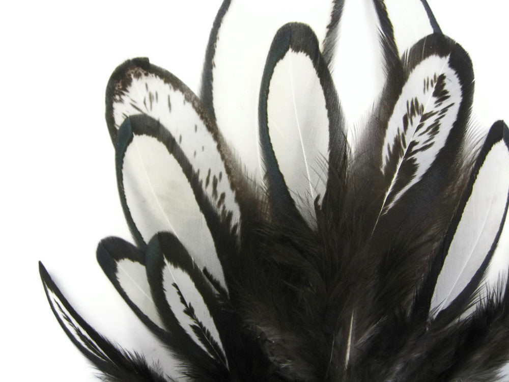 1 Dozen - Natural White Whiting Farms Laced Hen Saddle Feathers