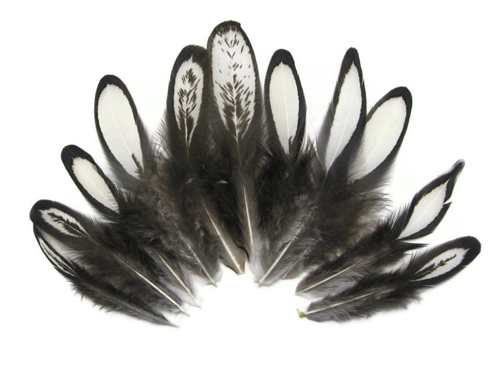 1 Dozen - Natural White Whiting Farms Laced Hen Saddle Feathers