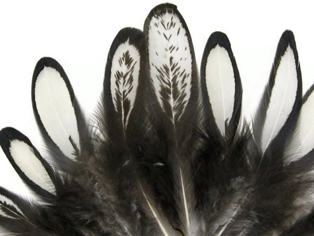 1 Dozen - Natural White Whiting Farms Laced Hen Saddle Feathers