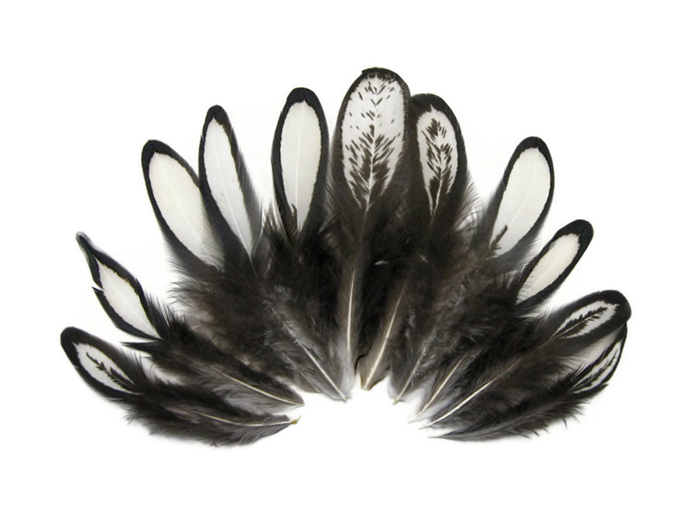 1 Dozen - Natural White Whiting Farms Laced Hen Saddle Feathers