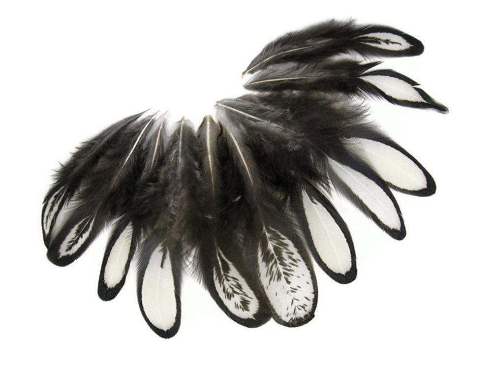 1 Dozen - Natural White Whiting Farms Laced Hen Saddle Feathers