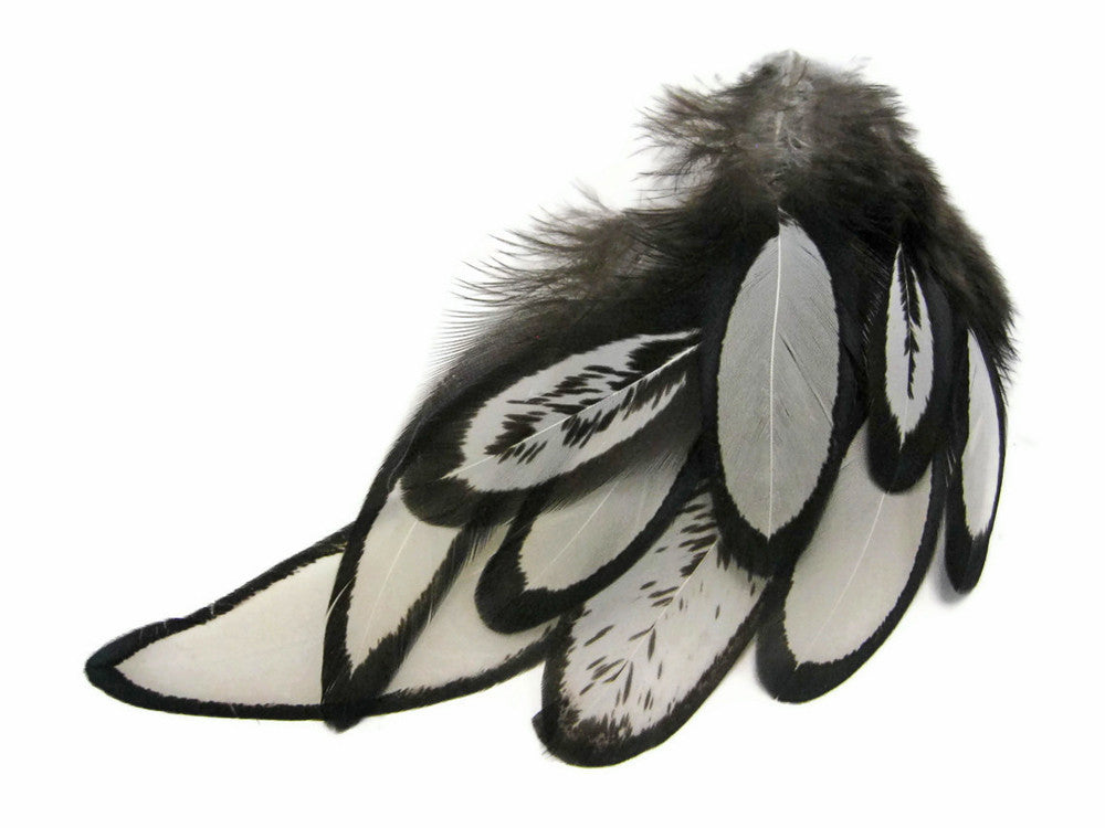 1 Dozen - Natural White Whiting Farms Laced Hen Saddle Feathers