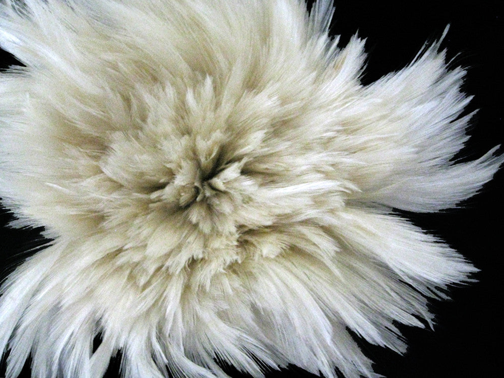 1 Yard - Natural White Strung Rooster Neck Hackle Wholesale Feathers (Bulk)