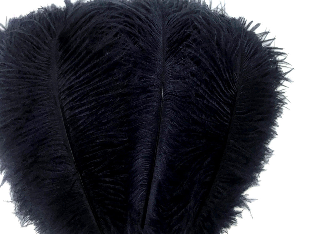 10 Pieces - 14-17" Navy Blue Ostrich Dyed Drab Large Body Feathers