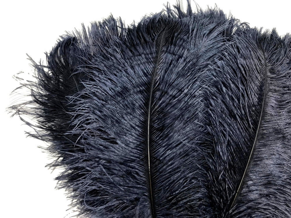 1/2 Lb - 12-16" Navy Blue Ostrich Tail Wholesale Fancy Feathers (Bulk)