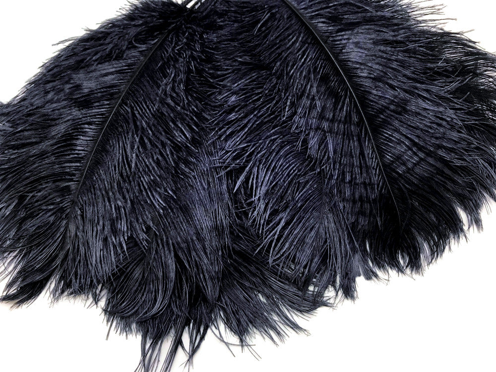 10 Pieces -  12-16" Navy Blue Dyed Ostrich Tail Fancy Feathers