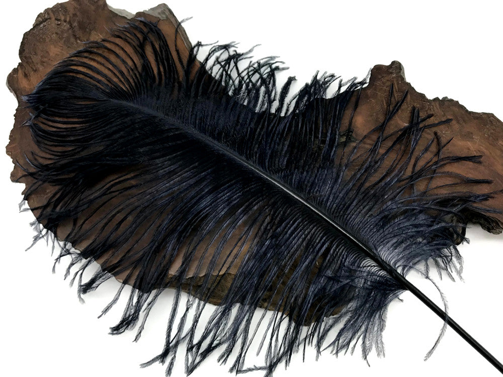 10 Pieces -  12-16" Navy Blue Dyed Ostrich Tail Fancy Feathers