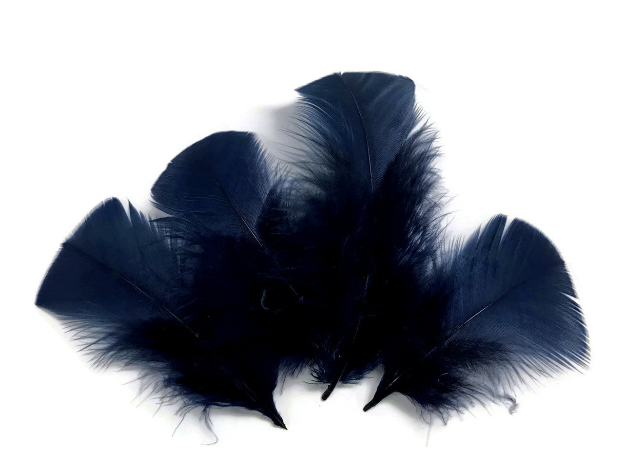 1/4 Lb - Navy Blue Turkey T-Base Wholesale Body Plumage Feathers (Bulk)