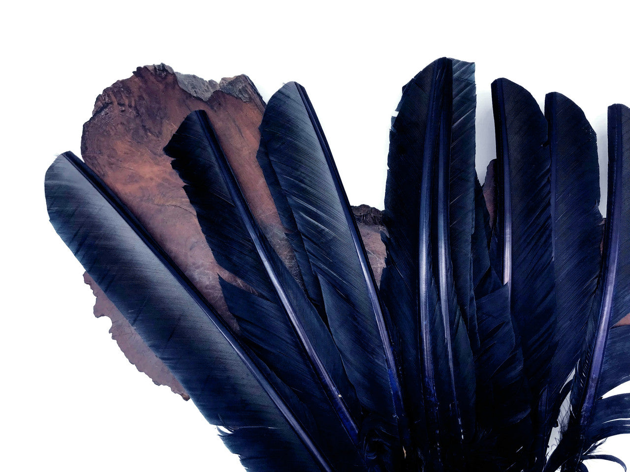 6 Pieces - Navy Blue Turkey Pointers Primary Wing Quill Large Feathers