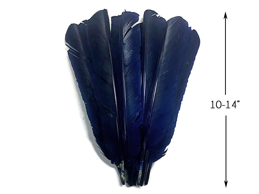 6 Pieces - Navy Blue Turkey Pointers Primary Wing Quill Large Feathers