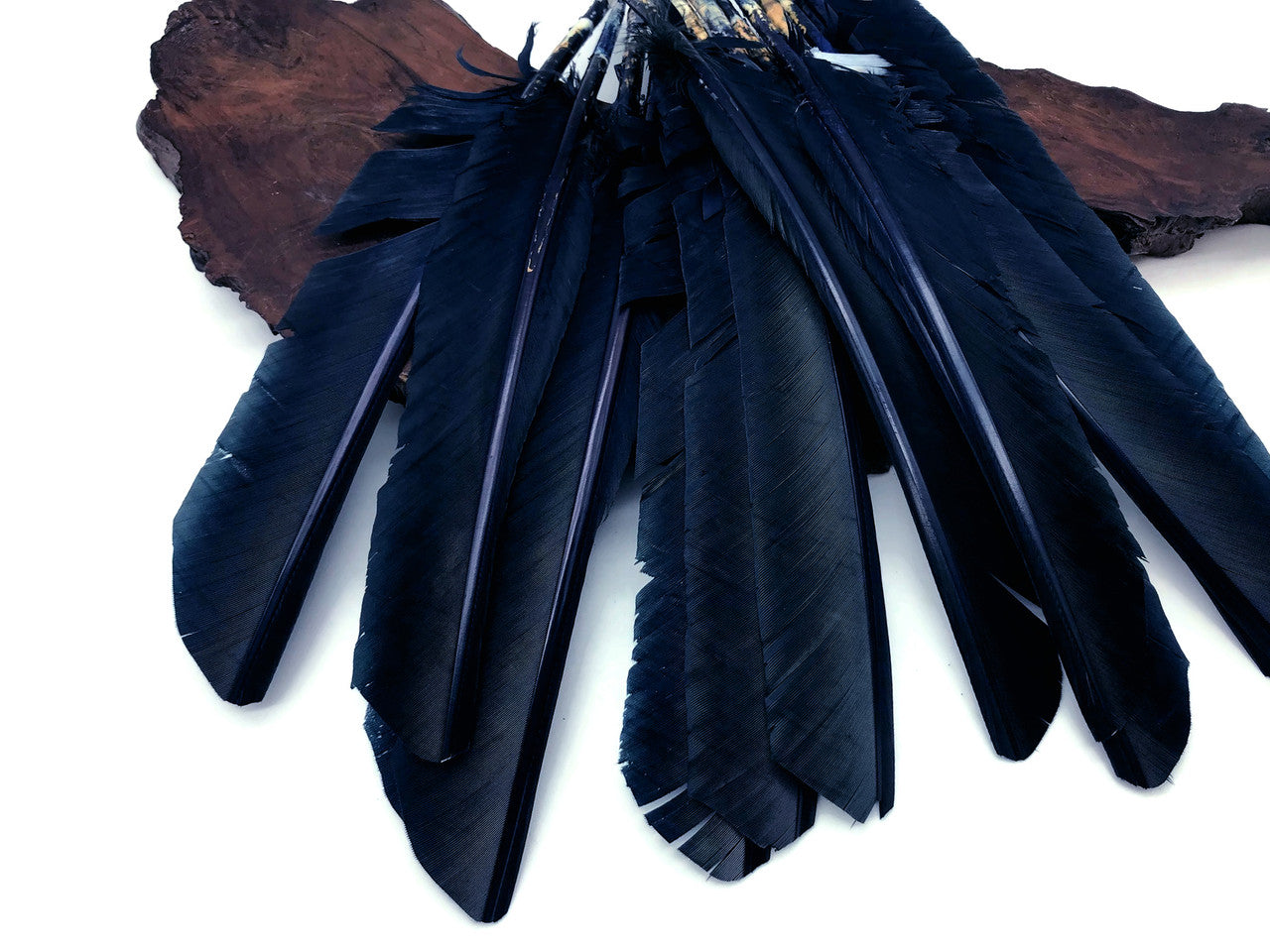 1/4 Lb - Navy Blue Turkey Pointers Primary Wing Quill Large Wholesale Feathers (Bulk)