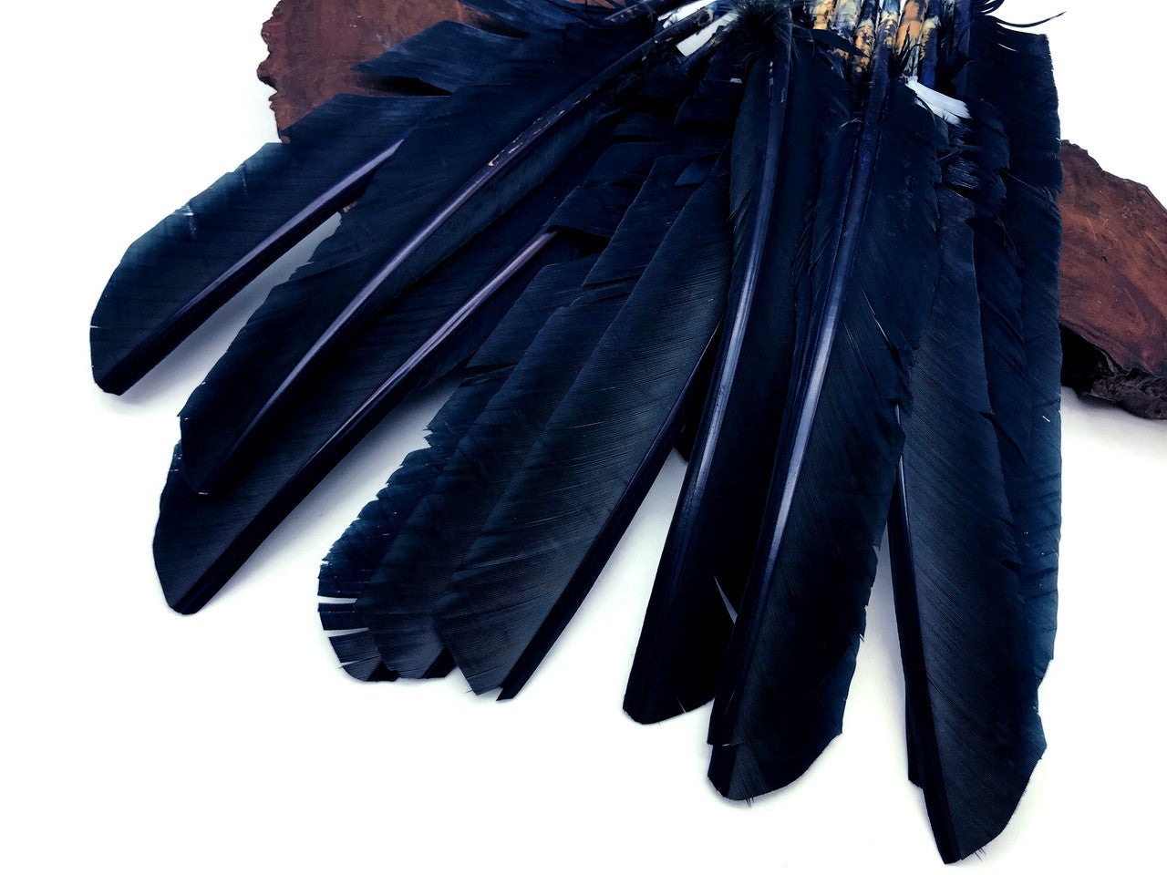 1/4 Lb - Navy Blue Turkey Pointers Primary Wing Quill Large Wholesale Feathers (Bulk)