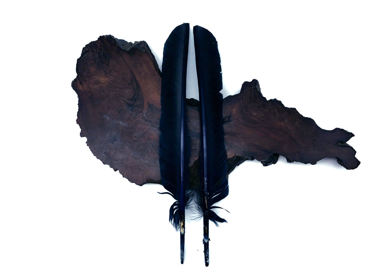 1/4 Lb - Navy Blue Turkey Pointers Primary Wing Quill Large Wholesale Feathers (Bulk)