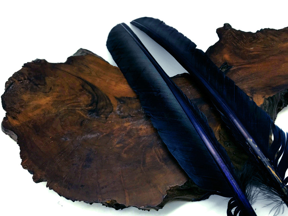 6 Pieces - Navy Blue Turkey Pointers Primary Wing Quill Large Feathers