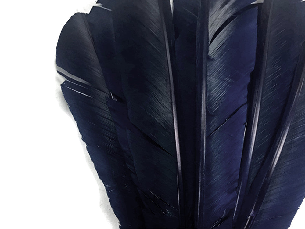 6 Pieces - Navy Blue Turkey Pointers Primary Wing Quill Large Feathers