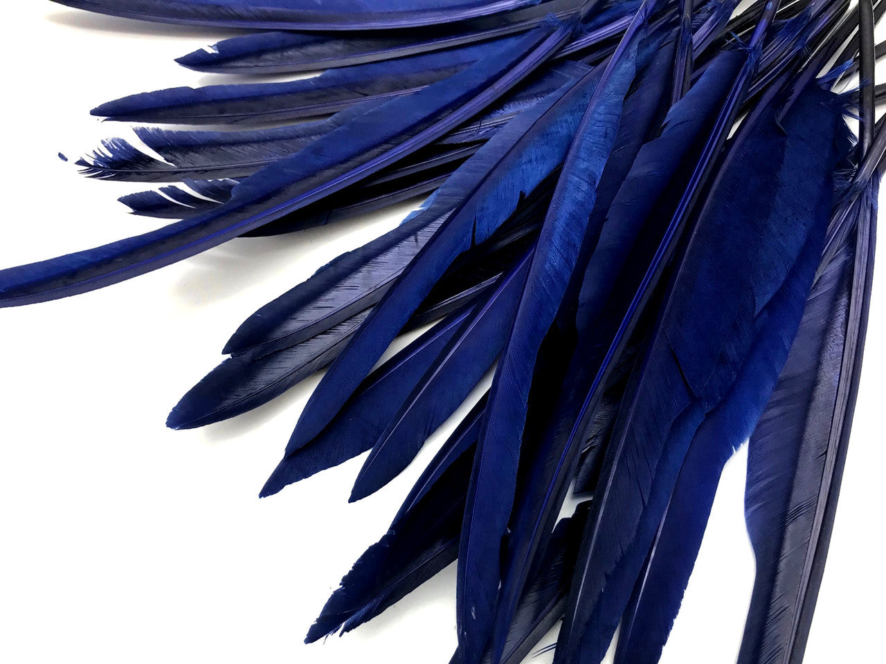 10 Pieces - Navy Blue Goose Pointers Long Primaries Wing Feathers