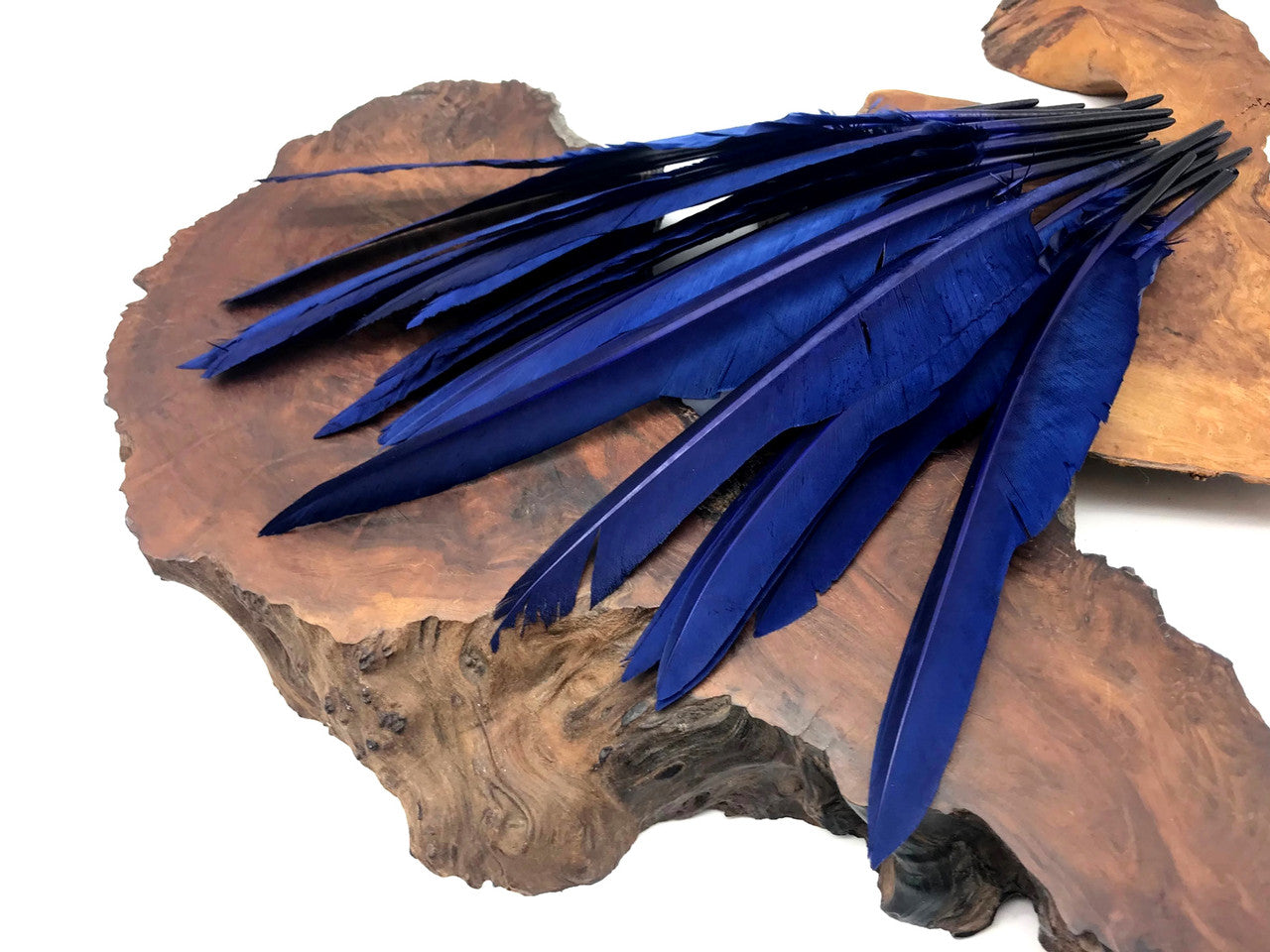 1/4 Lb. - Navy Blue Goose Pointers Long Primaries Wing Wholesale Feathers (Bulk)