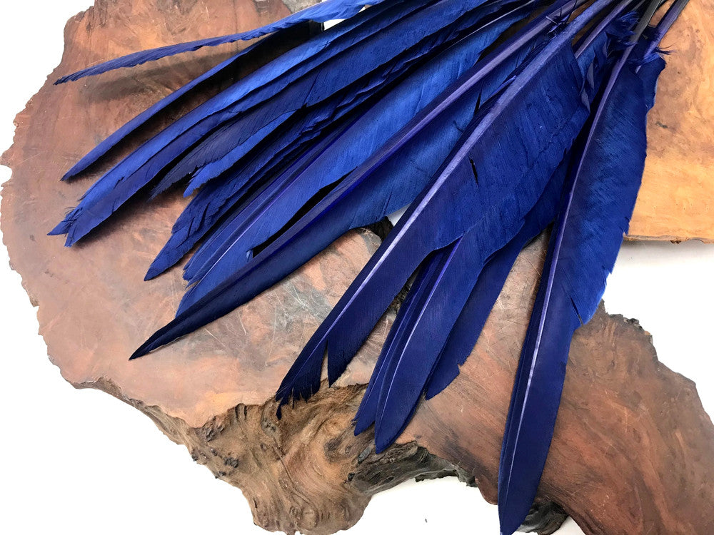 10 Pieces - Navy Blue Goose Pointers Long Primaries Wing Feathers