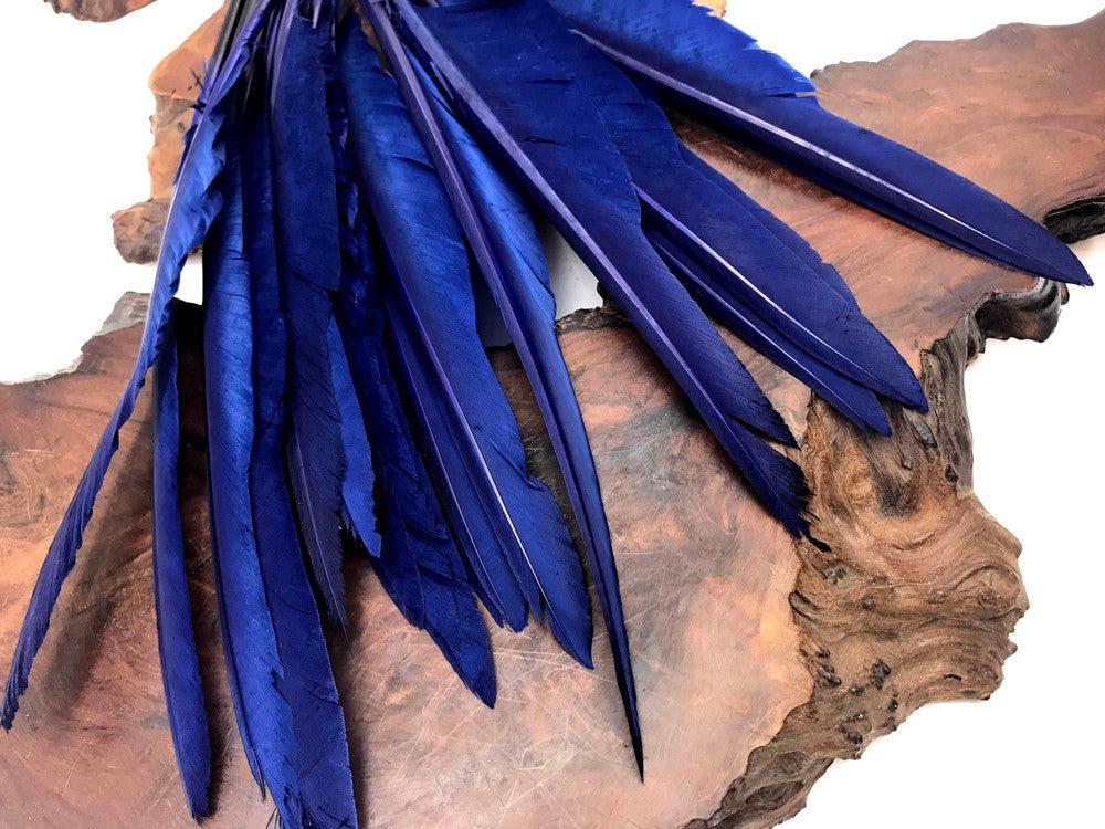 10 Pieces - Navy Blue Goose Pointers Long Primaries Wing Feathers