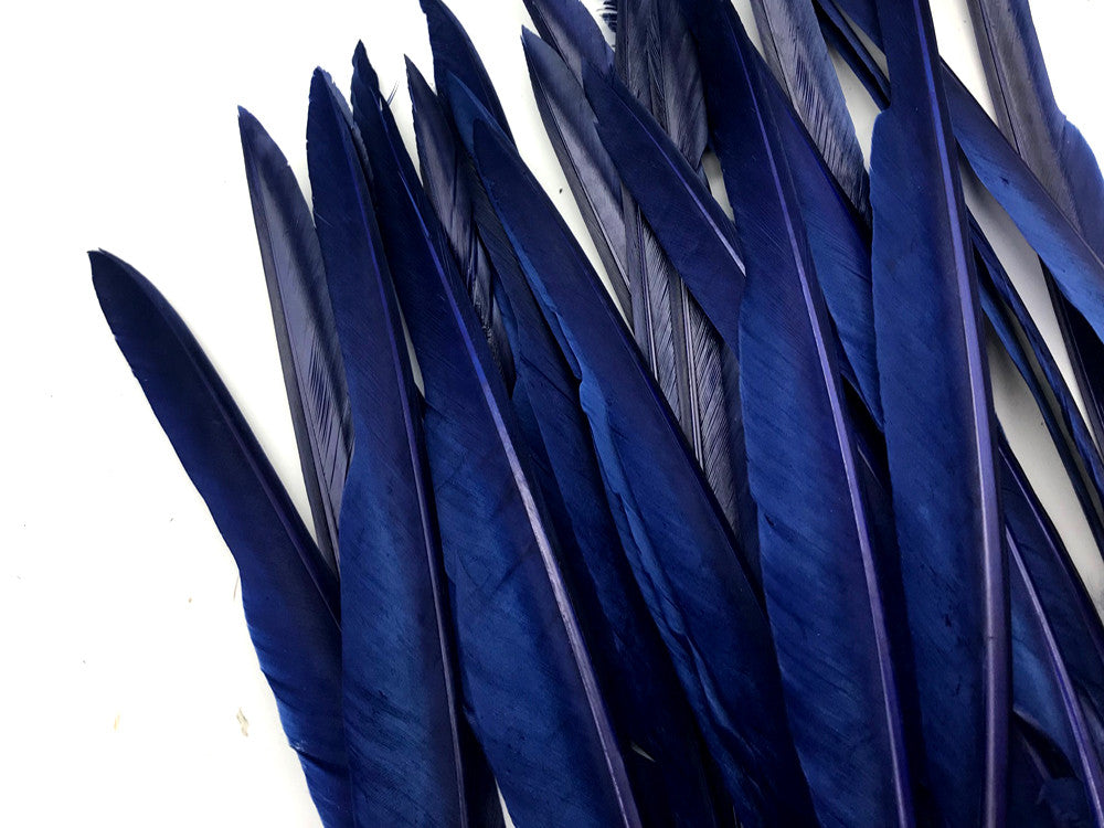 1/4 Lb. - Navy Blue Goose Pointers Long Primaries Wing Wholesale Feathers (Bulk)