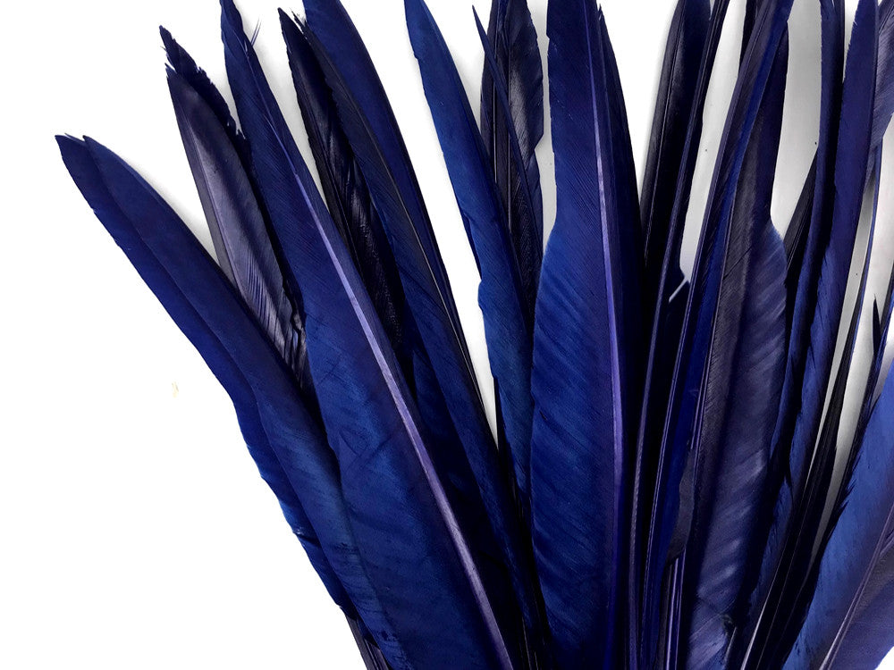 10 Pieces - Navy Blue Goose Pointers Long Primaries Wing Feathers