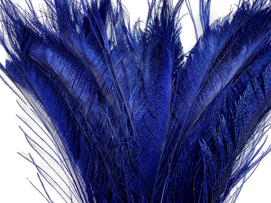 5 Pieces - Navy Blue Bleached & Dyed Peacock Swords Cut Feathers