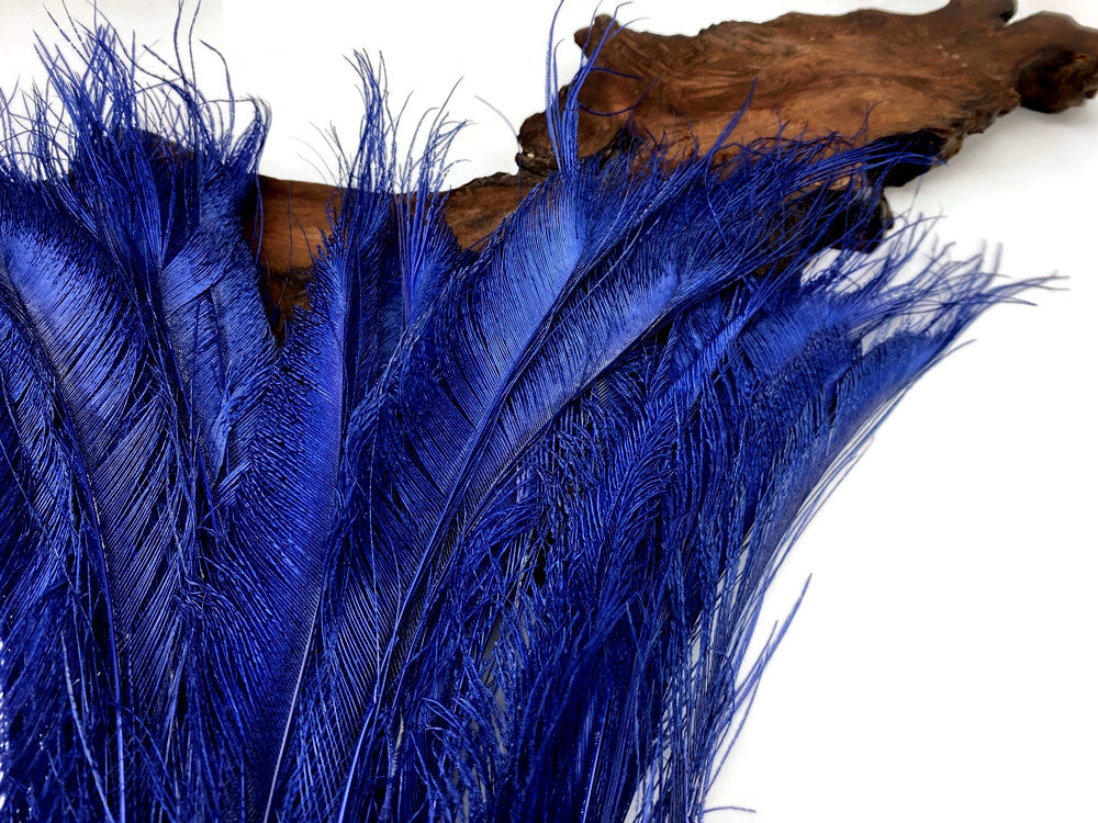 5 Pieces - Navy Blue Bleached & Dyed Peacock Swords Cut Feathers