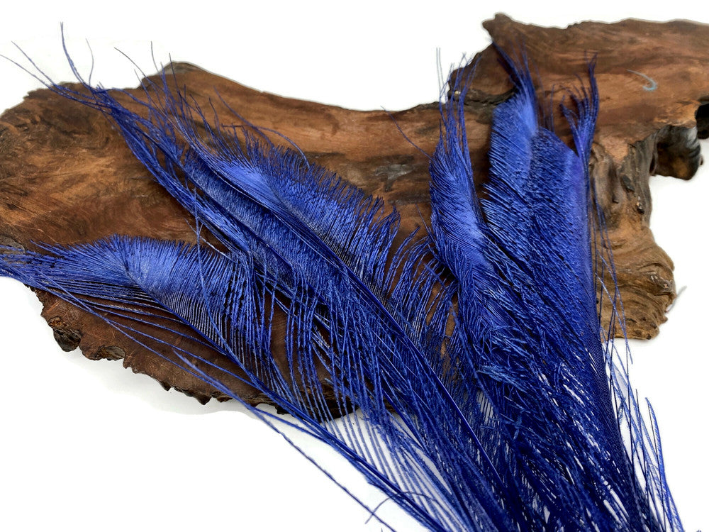 5 Pieces - Navy Blue Bleached & Dyed Peacock Swords Cut Feathers