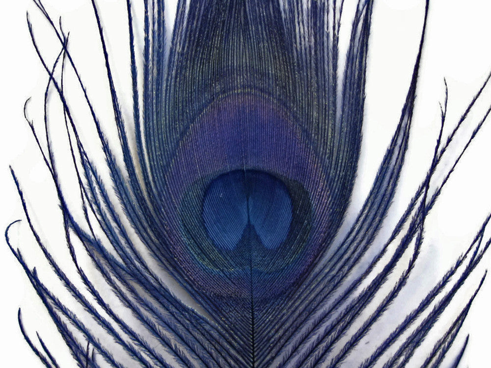 5 Pieces - Navy Blue Bleached & Dyed Peacock Tail Eye Feathers 10-12" Long