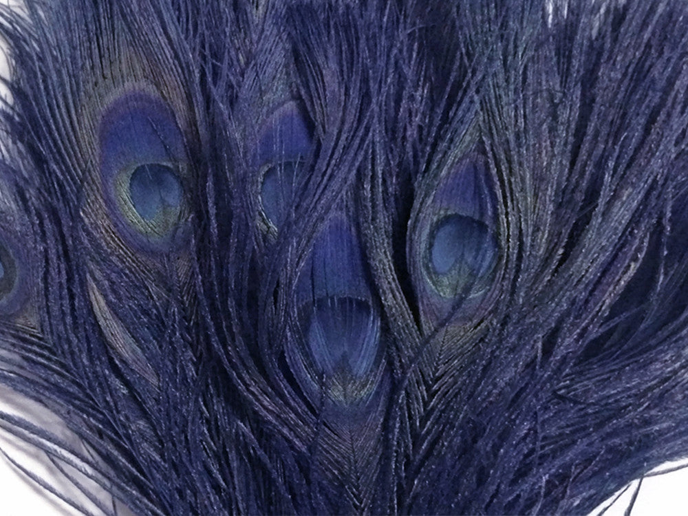 5 Pieces - Navy Blue Bleached & Dyed Peacock Tail Eye Feathers 10-12" Long