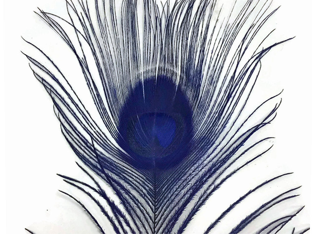 5 Pieces - Navy Blue Bleached & Dyed Peacock Tail Eye Feathers 10-12" Long