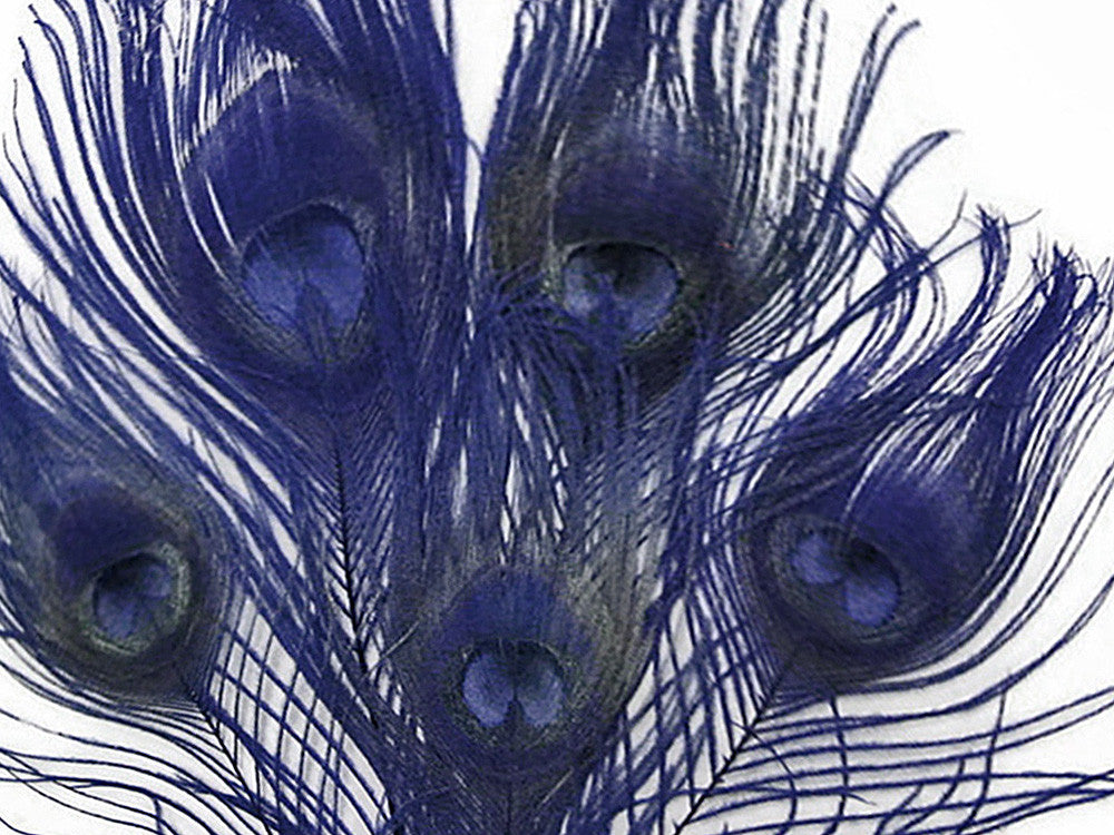 5 Pieces - Navy Blue Bleached & Dyed Peacock Tail Eye Feathers 10-12" Long