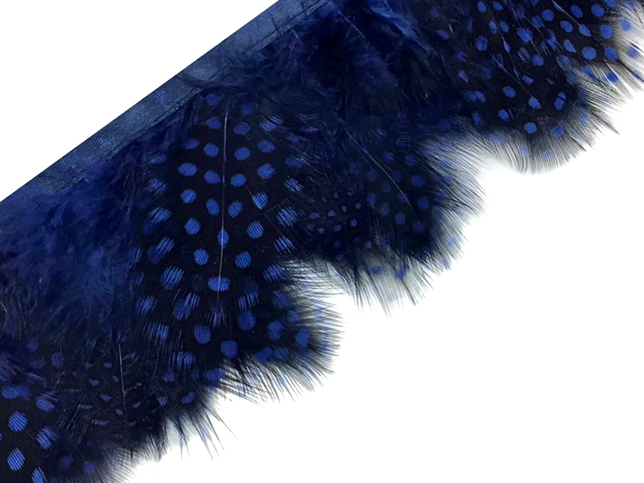1 Yard - Navy Blue Guinea Hen Polka Dot Plumage Feather Trim