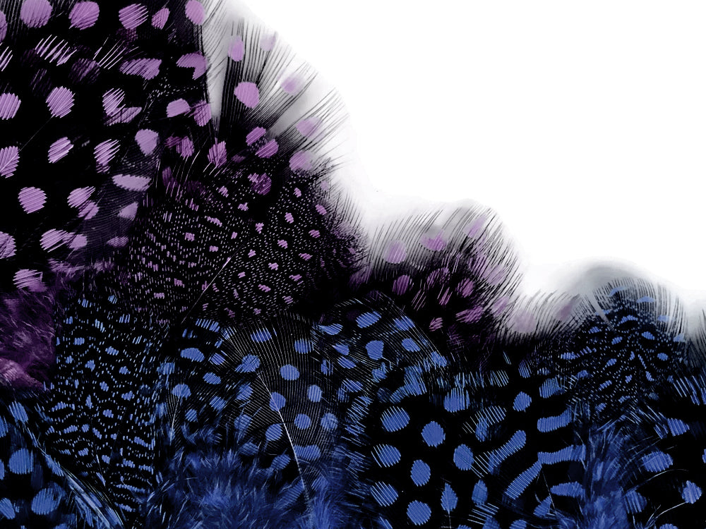 1 Yard - Navy Blue Guinea Hen Polka Dot Plumage Feather Trim