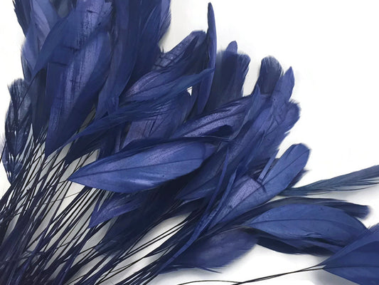 1 Dozen - Navy Blue Stripped Rooster Coque Tail Feathers