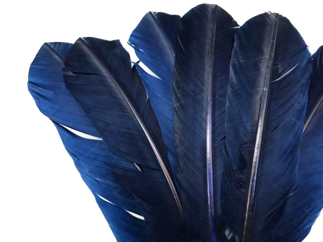 1/4 Lb - Navy Blue Turkey Tom Rounds Secondary Wing Quill Wholesale Feathers (Bulk)