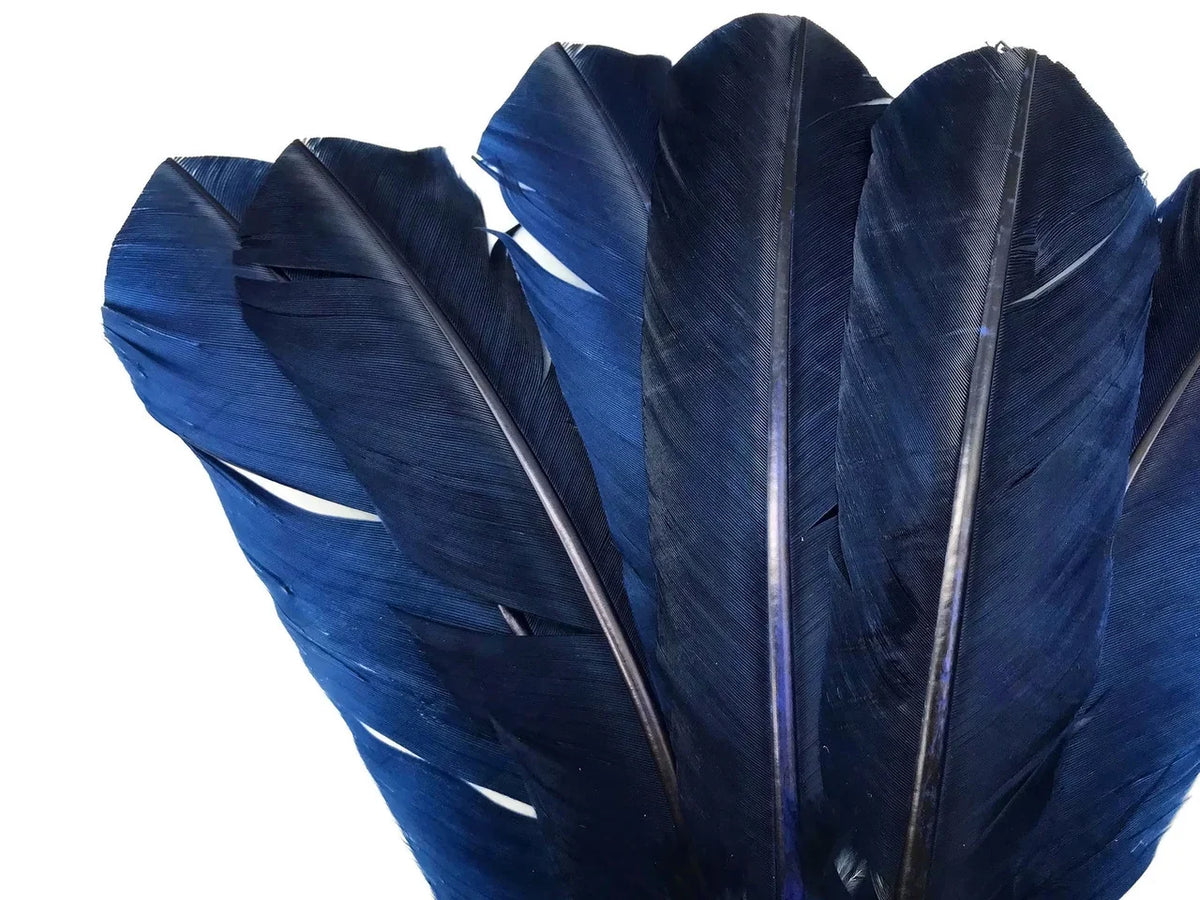 Deep navy blue decorative feathers for crafts and fashion DIY supplies.