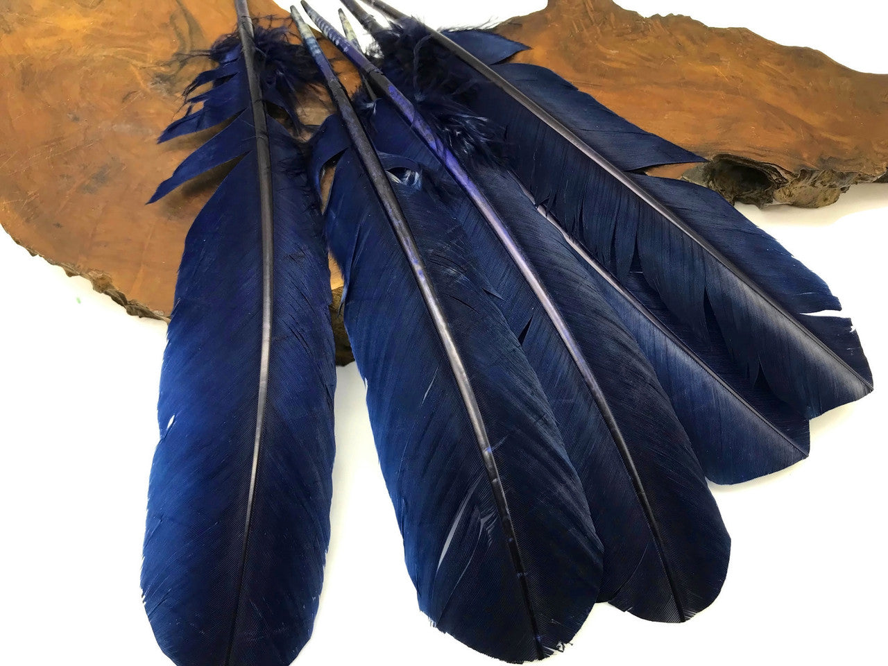 6 Pieces - Navy Blue Turkey Rounds Secondary Wing Quill Feathers