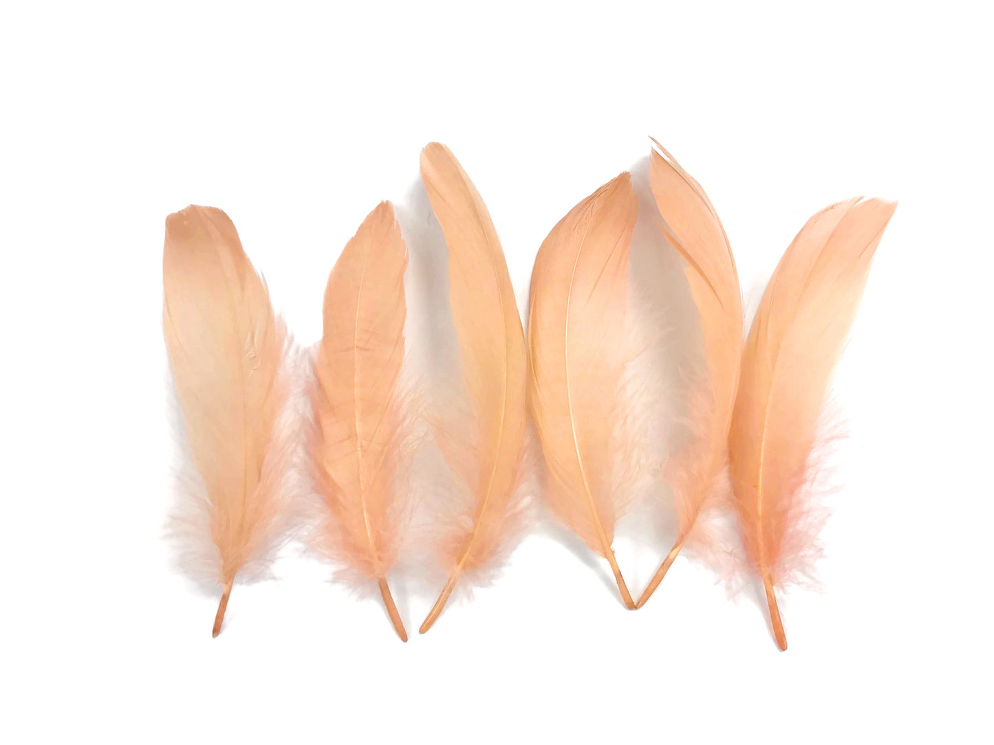 1 Pack - Champagne Goose Nagoire Loose Feather - 0.25 Oz.