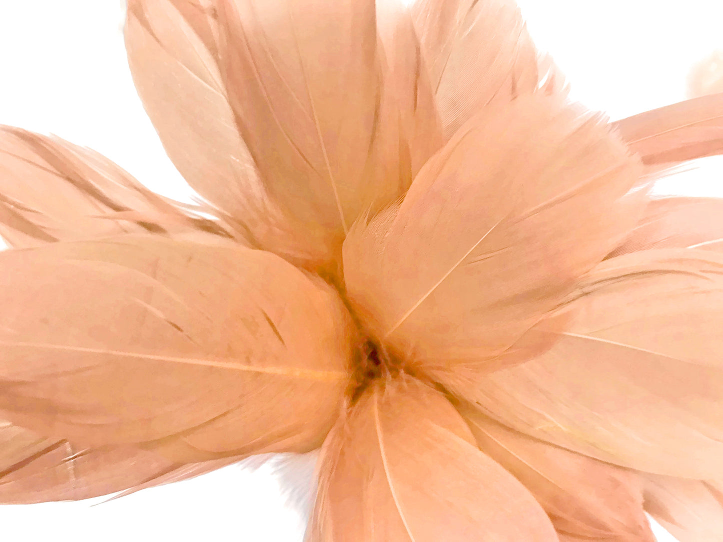 1/4 lbs. - Champagne Goose Nagoire Wholesale Feathers (Bulk)