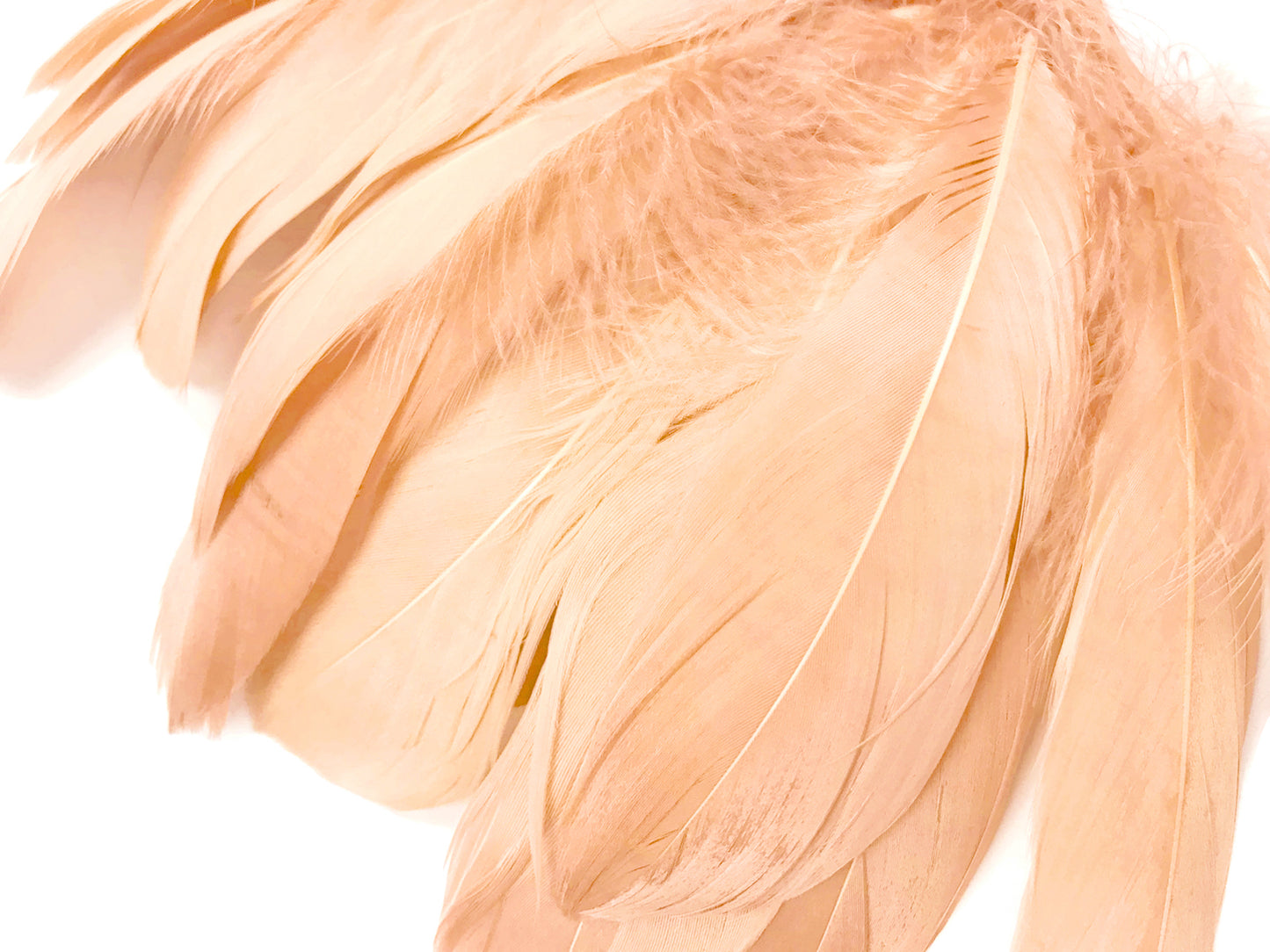 1/4 lbs. - Champagne Goose Nagoire Wholesale Feathers (Bulk)