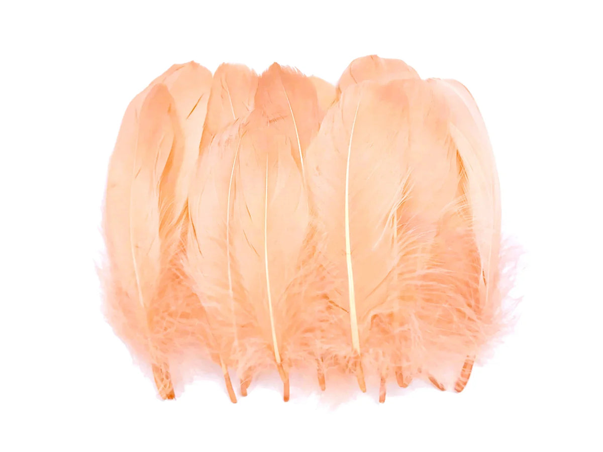 Pale champagne goose nagoire feathers with rounded tips and fluffy bases on white.