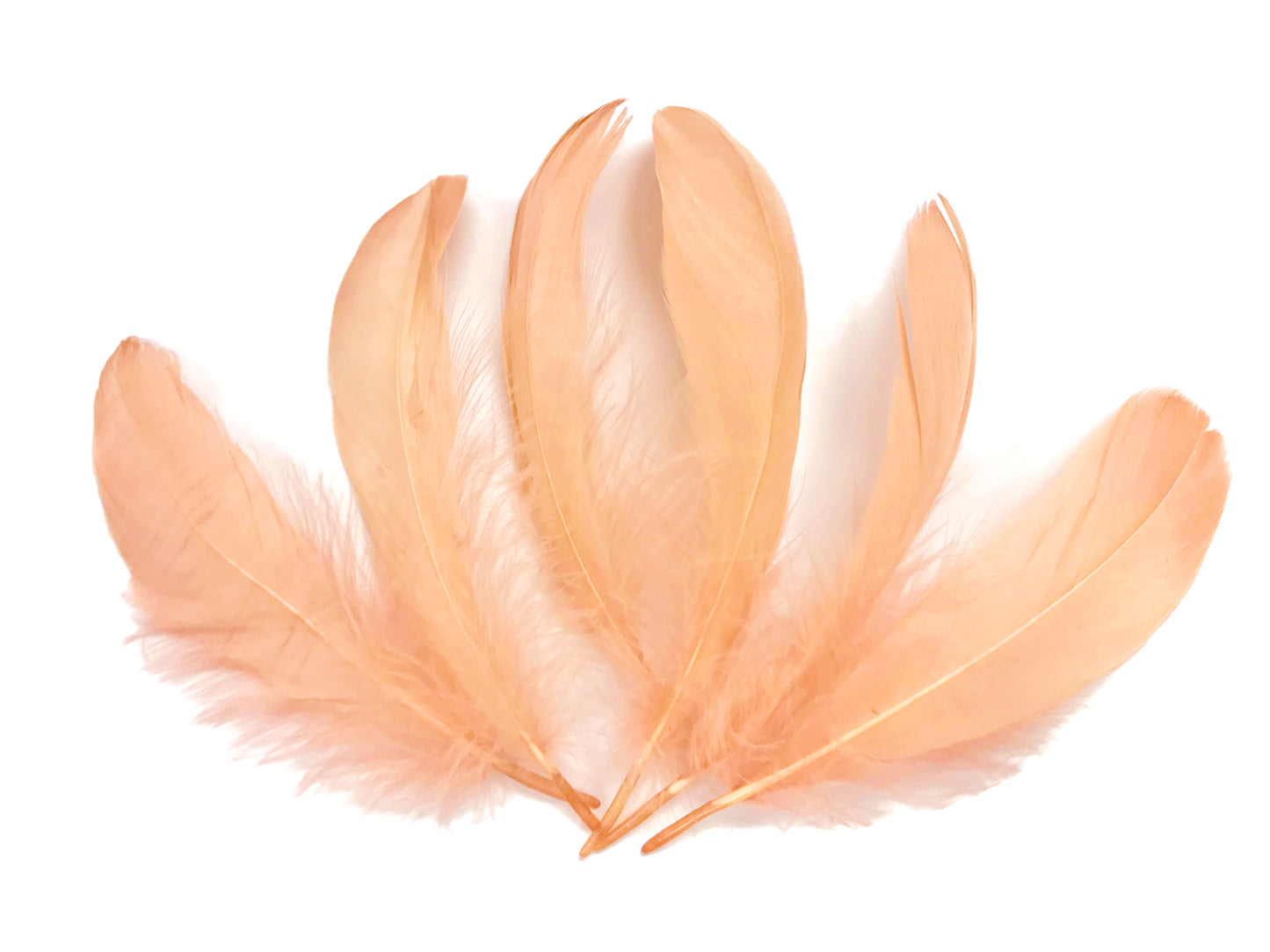 1/4 lbs. - Champagne Goose Nagoire Wholesale Feathers (Bulk)
